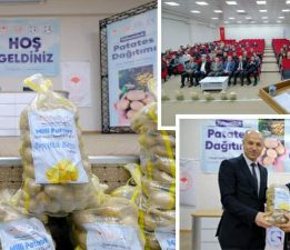 TOGÜ’de yetiştirilen Tokat’ın yerli patatesleri üreticiye güç katacak