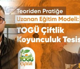 TOGÜ “Çiftlik Koyunculuk Tesisi” öğrencileri geleceğe hazırlıyor