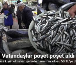 Amasya’da hamsinin kilosu 50 TL’ye düştü, vatandaş poşet poşet aldı