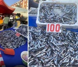 Tokat’ta, Hamsi tezgahta 150, Pazarda 100 lira