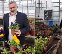 Niksar Belediyesi, Kendi çiçeğini kendi üretiyor