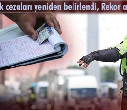 Bu hatayı yapan 173 Bin TL ceza ödeyecek
