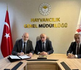 Besilik hayvan krizine neşter atılıyor