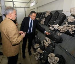 TOGÜ’de üretime dayalı eğitim modelleri güçleniyor