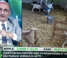 Başkan Saldırıcıer, Bloomberg HT’de “Tarım Analizi” yaptı