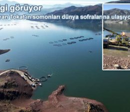 Dağların arasından deniz aşırı pazarlara “Türk Somonu” yolculuğu başladı