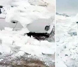 Hayvanlar aç kalmasın diye çıktığı yolda ölümden döndü