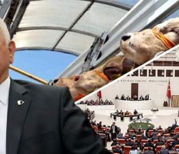 Vekil Durmaz’dan 2026 hayvan ithalatına 15 soruluk TBMM hamlesi