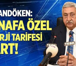 Başkan Palandöken, “Esnafa özel enerji tarifesi şart”