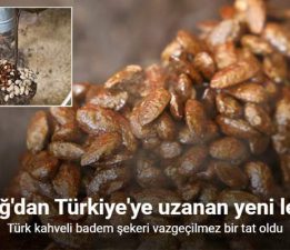 Gelenekten yeniliğe, Türk kahveli badem şekeri