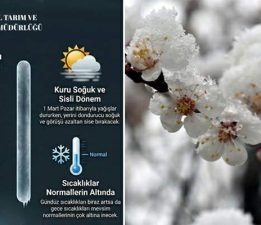 Tokat’ta “Zirai Don” alarmı, 5 Mart’a kadar dikkat