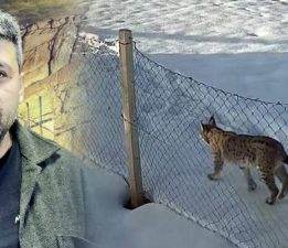 Tokat’ta belgeselleri aratmayan köy