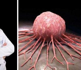Prof. Dr. Ölmez, “Kanser artık ‘yönetilebilen’ bir hastalık oldu”