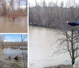 Tokat’ta Çekerek Irmağı taştı, şeker pancarı ekimi durdu