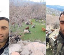 Tokat’ta yaylada kışın ayazında türküleriyle ısınan çoban, baharı da türküyle karşıladı