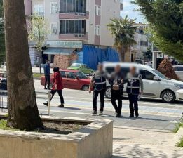 İnsan kaçakçısı tır sürücüsü tutuklandı