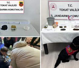 Tokat’ta jandarmadan uyuşturucu operasyonu: 8 gözaltı
