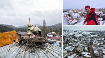 Tokat’ın Başçiftlik ilçesine 25 yıl sonra dönen leylekler, nisan ayında kar altında kaldı