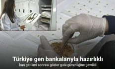 İran gerilimi sonrası gözler gıda güvenliğine çevrildi: Türkiye gen bankalarıyla hazırlıklı