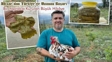 Yaprakla kurulan büyük hikâye, Niksar’dan Türkiye’ye uzanan başarı