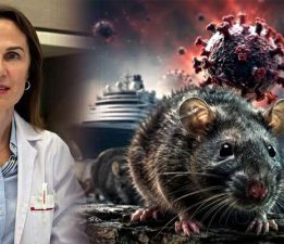 Uzmanlardan ‘Hantavirüs’ açıklaması: “Bulaştırıcılığı Covid kadar değil”
