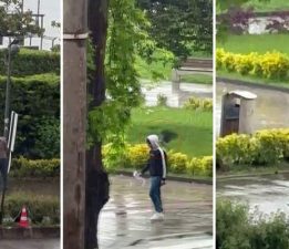 Haylaz karga sahilde yürüyenlere “musallat” oldu