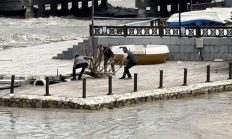 Başkan Yazıcıoğlu akıntıyla gelen ağaç parçalarını kendi elleriyle topladı