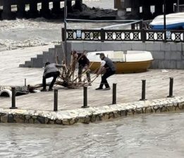 Başkan Yazıcıoğlu akıntıyla gelen ağaç parçalarını kendi elleriyle topladı