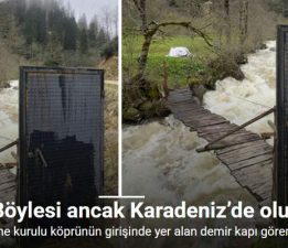 “Böylesi ancak Karadeniz’de olur”