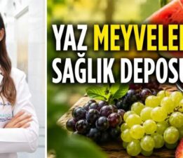 Yazın en sevilen 6 meyvesi sağlığa da katkı sağlıyor