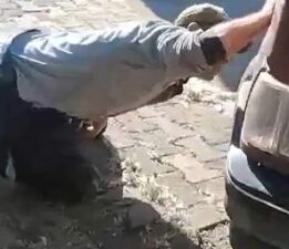 Sulusaray’da aracın motor kısmına giren yılanı itfaiye ekipleri kürekle yakaladı