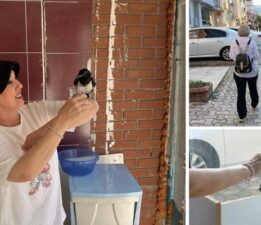Yaralı bulduğu yavru saksağan kahvaltı arkadaşı oldu