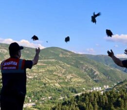 Tokat’ta 100 keklik doğaya bırakıldı