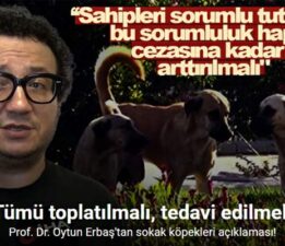 Prof. Dr. Oytun Erbaş: “Sokaktaki tüm köpekler toplatılmalı, tedavi edilmeli”