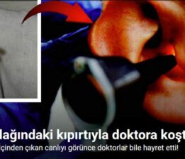 Kulağından ’kelebek’ çıktı: “Hareketliydi, doğaya bıraktık”