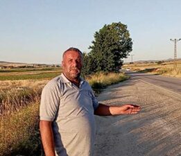 Tokat’ta binlerce kurbağa kara yolunu istila etti