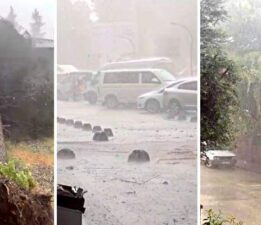 Erbaa’ta fırtınada ağaçlar devrildi