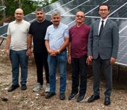 Niksar’da sürdürülebilir tarım hamlesi, Ceviz üretiminde yeşil dönüşüm başladı