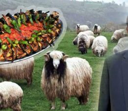 Tokat Damızlık Koyun Keçi Birliği’nden, Karayaka ırkına ve Tokat Kebabı’na güçlü destek