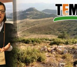 Tema Vakfı uyarıyor, “Meralarımızın yarısından fazlasını kaybettik”