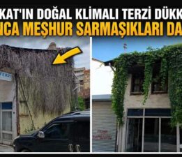 Doğal klimalı “Terzi Dükkanı” kapanınca sarmaşıkları da kurudu