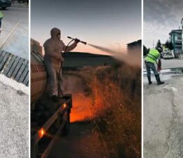 Zile’de haşerelere karşı yoğun ilaçlama mesaisi