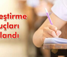 LGS yerleştirme sonuçları açıklandı
