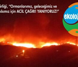 Ekoloji Birliği, “Ormanlarımız, geleceğimiz ve yaşam hakkımız için ACİL ÇAĞRI! YANIYORUZ!”