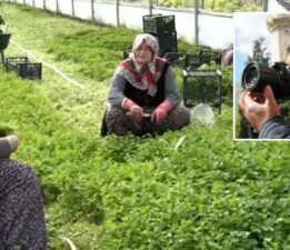Topraktan Pazara Uzanan Köprü