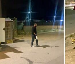 Kokoreçcinin müdavimi tilki, bazen orada yiyor bazen de ‘Paket yaptırıyor’
