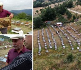 Arıcılıkta yapay zeka dönemi