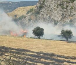 Tokat’ta otluk alandaki yangın büyümeden söndürüldü