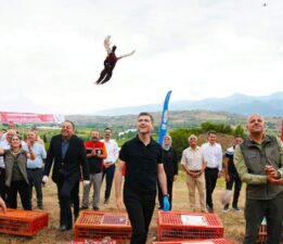 Erbaa Belediyesi’nden keneyle mücadeleye halkalı sülün ve kekliklerle destek