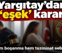 Eşe ‘Eşek’ demek hem boşanma hem tazminat sebebi